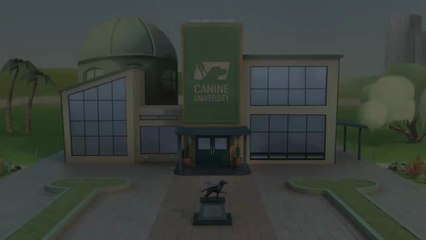 Pip 🐶 | Heartwarming Short Animated Film by Dogs Inc | A Little Pup with Big Dreams