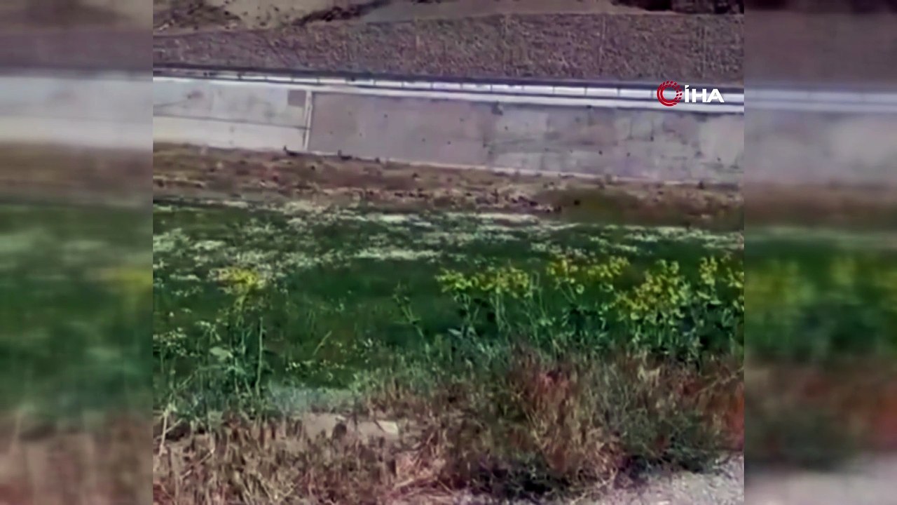 Van'da amatör kameraya takılan kişi yakalandı!