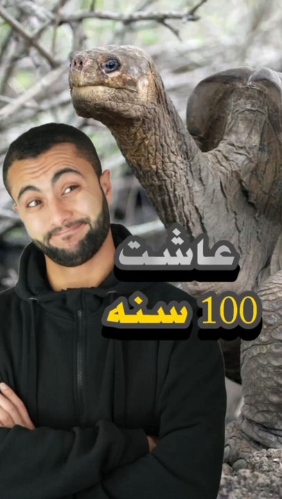 ليه السلحفاة دي خلت نوعها ينقرض؟!  وموافقتش على أي عريس؟!  🐢❌❤️https://psce.pw/7pmymj#النواة #جورج_الوحيد#Alnawa #Solitario_George #dubai🇦🇪 #dubailife #trending #travel #nature #wildlife