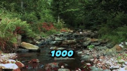 'I Asked 1,000+ Older People for Life Advice and Learned" #motivation