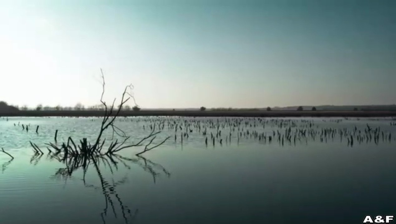 Sarah Kohr -04- Teufelsmoor