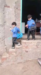 Ecco il mio ultimo video