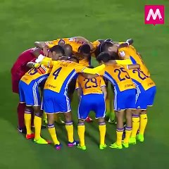 Las finales de Tigres