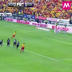 Cuatro teorías, un tuit