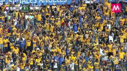 Rompiendo las redes: Tigres, Gignac y Rayados