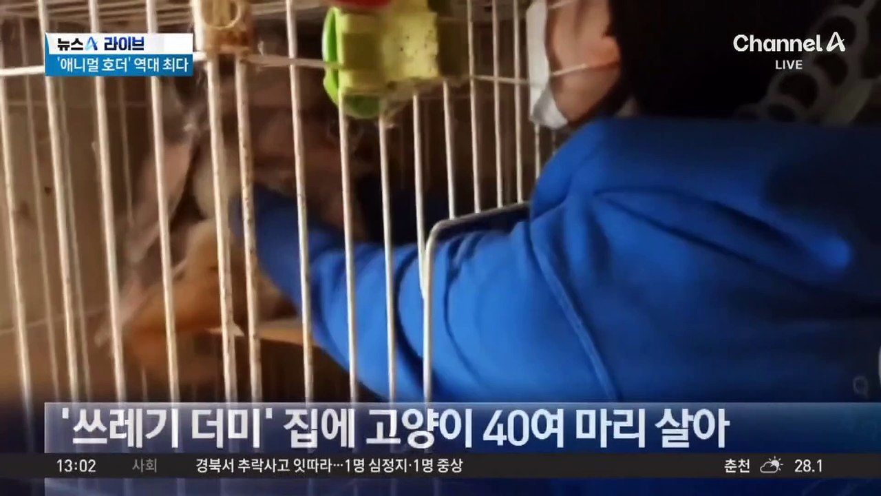 수십 마리 데려와 놓고선 방치 학대…‘애니멀 호더’ 역대 최다