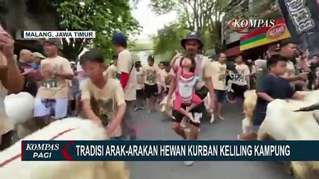 Tradisi Mengarak Hewan Kurban di Momen Hari Raya Idul Adha