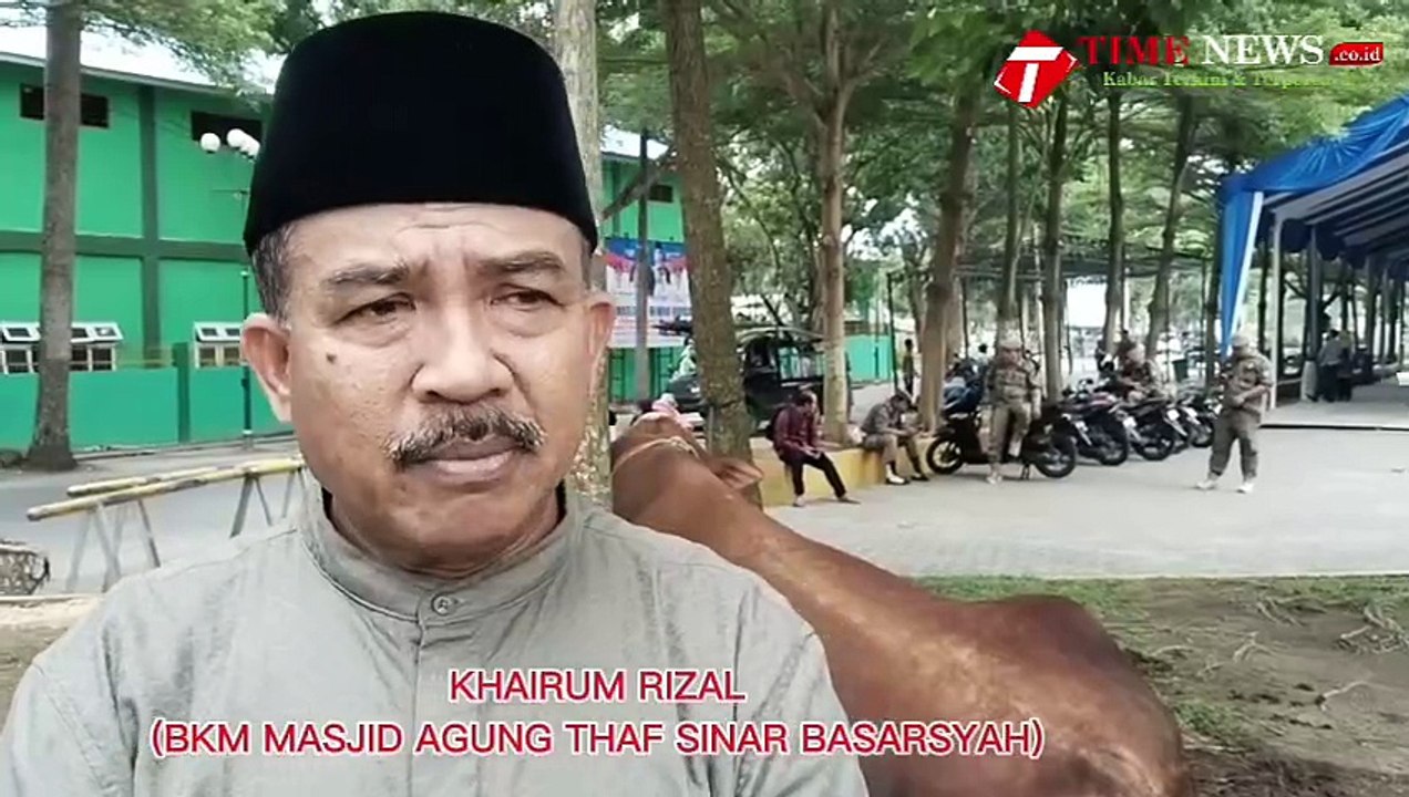 Sapi Qurban Milik Presiden RI Tiba Di Masjid  Agung Sultan Thaf Sinar Basarsyah