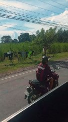 pinas travel