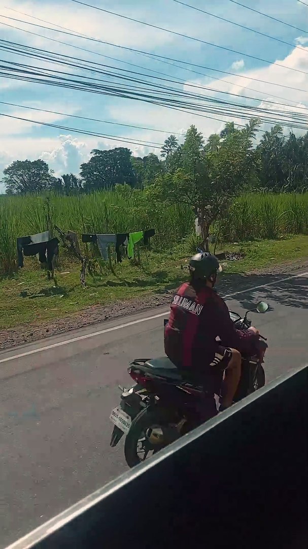 pinas travel
