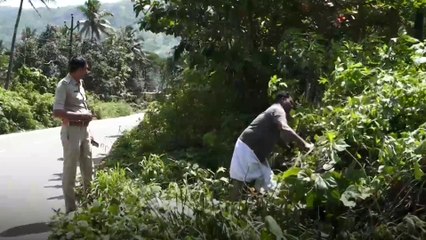 കാടുവെട്ടി തെളിക്കാനും പൊലീസ്; മാതൃകാപ്രവർത്തനം ഇടുക്കി അടിമാലിയിൽ | Idukki Police