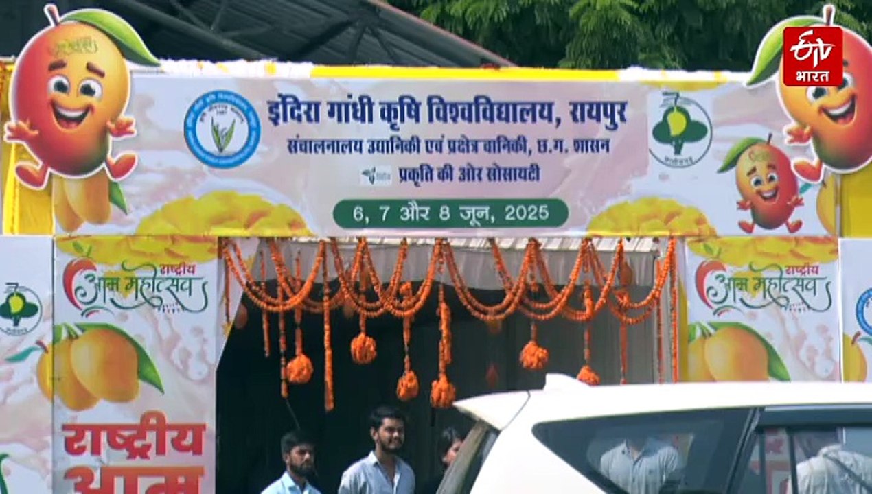 रायपुर नेशनल मैंगो फेस्टिवल में ढाई लाख रुपये किलो का आम, एक साथ दिखे 350 प्रजाति के आम
