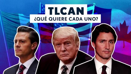 TLCAN: ¿Qué quiere cada uno?