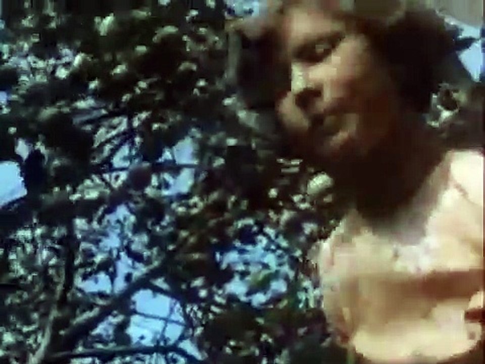 От Москвы до самых до окраин (1976)