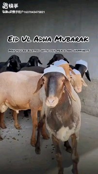 Eid UL Adha | Eid Ul Adha Mubarak ❤️
