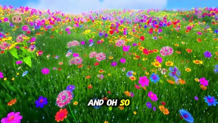 Rain Rain Go Away – Sing Along with Sunshine Fun!