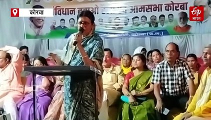 कांग्रेस संविधान की असली रक्षक, इस सरकार से जल जंगल जमीन को खतरा: ज्योत्सना महंत