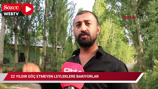 22 yıldır göç etmeyen leyleklere bakıyorlar