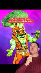 Ma réaction au démasquage du Brocolis (Mask Singer 7)