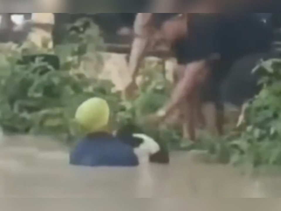 Mann rettet Hund aus reißenden Fluss in Indien