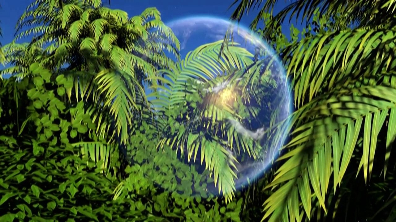 Videografik: Die Versauerung der Meere