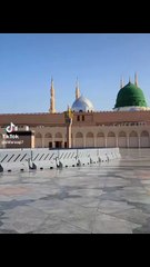 New viral Naate Rasool Maqbool sallallahu alaihi wasallam bahut hi khubsurat awaaz mein,ط بہت ہی پیاری نعت شریف خوبصورت اواز میں