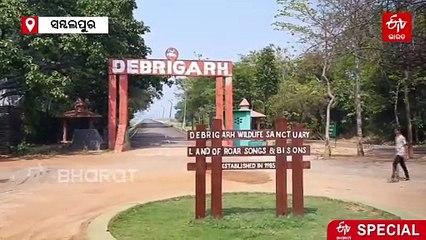 କାହିଁକି ଗୟଳଙ୍କ ନିର୍ଭୟ ଚରାଭୂଇଁ ‘ଦେବ୍ରିଗଡ଼’ ? 6 ମାସରେ ଜନ୍ମ ନେଲେଣି 129