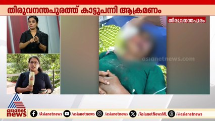 തിരുവനന്തപുരത്ത് കാട്ടുപന്നി ഇടിച്ച് ദമ്പതിമാർക്ക് ​ഗുരുതര പരിക്കേറ്റു