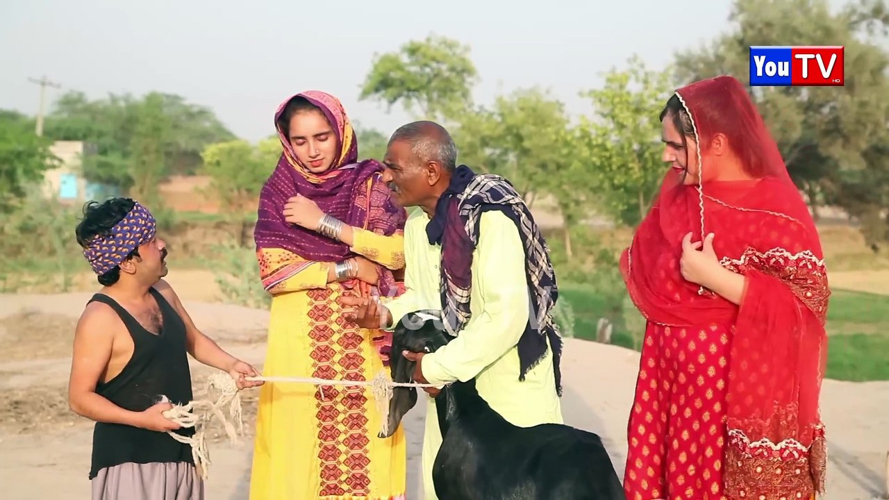 Number daar Eid K Bakra Ki Boli New Numberdar Funny Video  Most Comedy Funny Video  You Tv Hd 2025 - You Tv HD (1080p, h264)