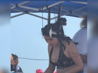 Babyaffe in Windeln chillt am Strand