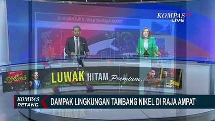 Menteri Lingkungan Hidup Buka Suara soal Pertambangan di Raja Ampat: Ada Pelanggaran?
