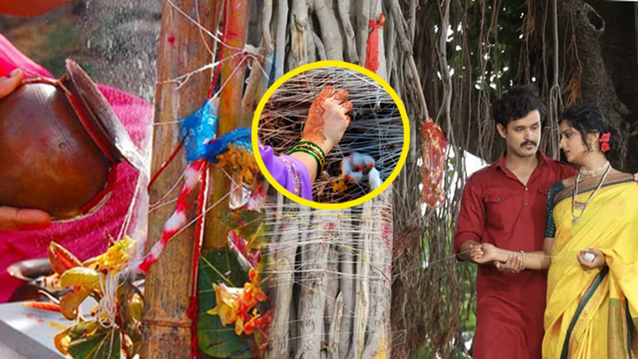 Vat Purnima Vrat Puja Vidhi 2025:वट पूर्णिमा व्रत की पूजा कैसे करें,बरगद पेड़ की पूजा कैसे करते है ?