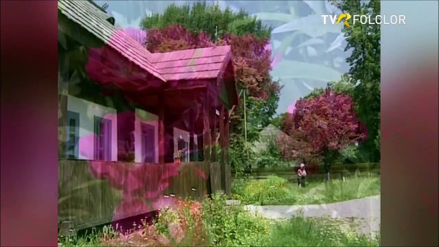 Elena Mandrescu - Vai de mine, n-am dragut (Popasuri folclorice - TVR - 2008)