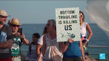 Scientists, activists call for ban on bottom trawling ahead of UN ocean summit