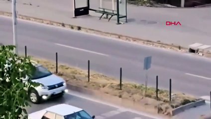 Bartın’da bir garip olay! Yaptığına kimsecikler anlam veremedi! İşte “Allah akıl fikir versin” dedirten görüntüler