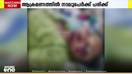 സംസ്ഥാനത്ത്  കാട്ടുപന്നിയുടെ  ആക്രമണത്തിൽ നാല് പേർക്ക് പരിക്ക്