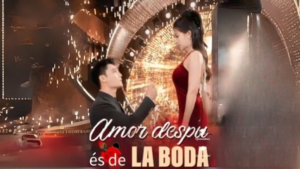 Amor Después De La Boda (2025) - Full Movie