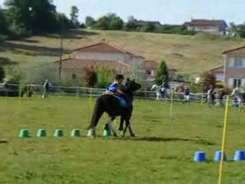 Marches - Blond Team - Pony Games - Peillard