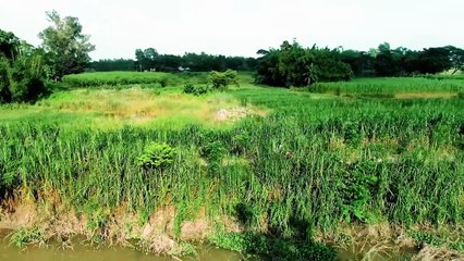 Pap Kahini - Bangla Web Series - Season 1 - Watch Online - পাপ কাহিনী