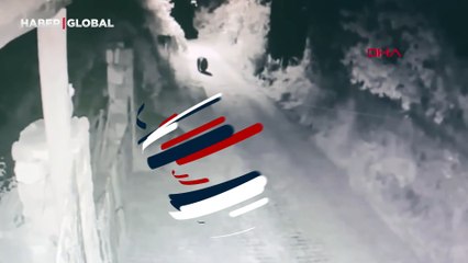 Köye inip bahçe kapısını açan boz ayı kameraya yansıdı