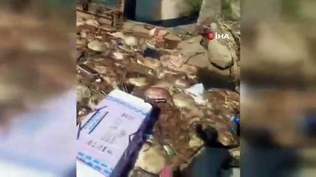 CHP’li belediye uyudu, sulama kanalı işkembe doldu!