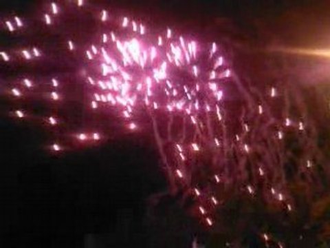 feux artifices 2008