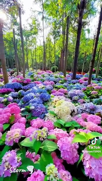 Universe beaty nature beaty