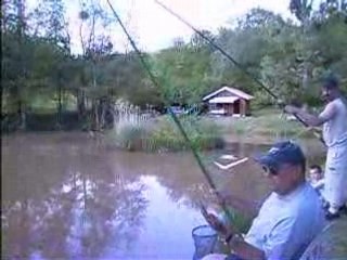 Prise d'un black bass