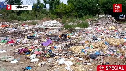 ਮਨੁੱਖੀ ਜ਼ਿੰਦਗੀ ਕਰ ਰਹੇ ਖ਼ਤਮ ਪਲਾਸਟਿਕ ਦੇ ਛੋਟੇ-ਛੋਟੇ ਕਣ, ਸਾਡੇ ਖਾਣ-ਪੀਣ ਦੇ ’ਚ ਪਲਾਸਟਿਕ ਦੀ ਭਰਮਾਰ, ਜਾਣੋ ਕਿੰਨਾ ਖ਼ਤਰਨਾਕ ਪਲਾਸਟਿਕ ?