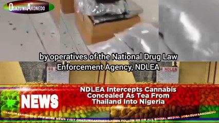 NDLEA Intercepts Cannabis Concealed As Tea From Thailand Into Nigeria