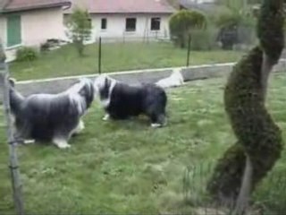 WEEK END A BEAUZAC MAI 2008