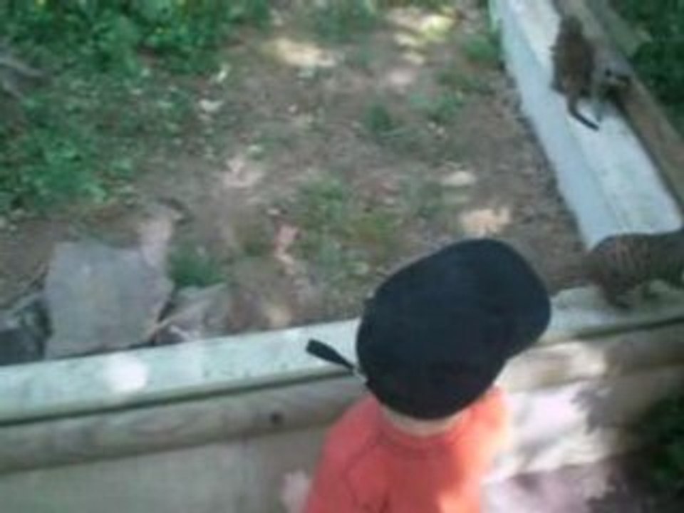 Amaury au zoo