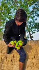 Qabristan mein murde baten kar rhe Hain😁