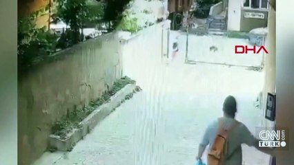Tasmasız pitbull 7 yaşındaki çocuğa saldırdı